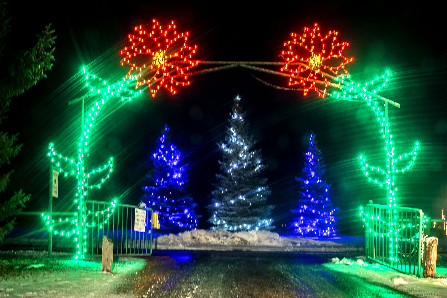 Festival of Lights